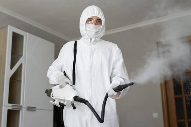 Why You Should Choose Our Mold Remediation Services in Avon, OH